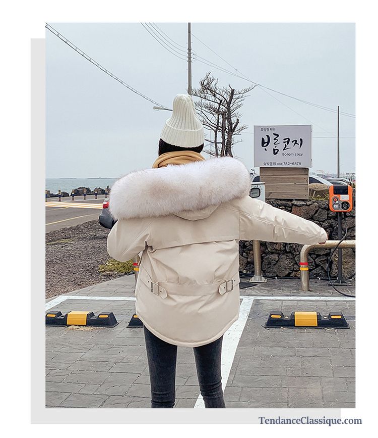 Veste En Coton Été Femme, Veste En Coton Noire Cintrée Femme France